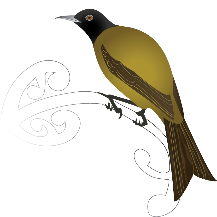 Chatham Bellbird