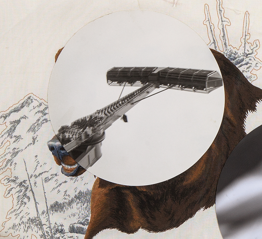 Detail, Call of the Wild 1