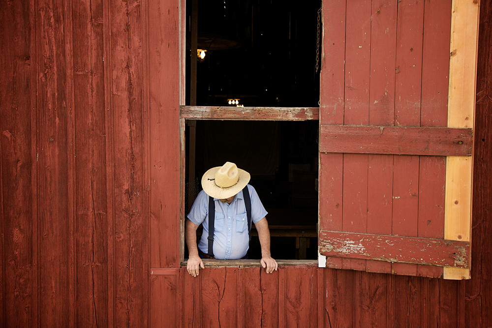 Alan Callister, Callister Farm